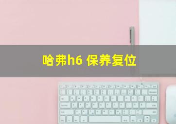 哈弗h6 保养复位